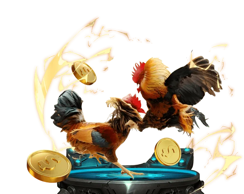 Hoàn trả hàng ngày